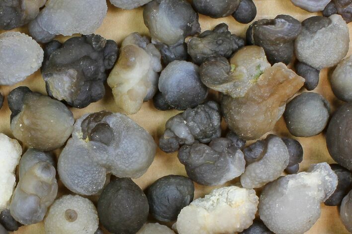 Lot: to Natural Chalcedony Nodules - Pieces #137988